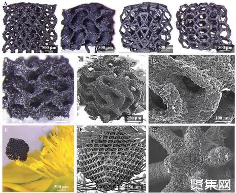 新工藝實(shí)現(xiàn)高分辨率、復(fù)雜石墨烯結(jié)構(gòu)的3D打印