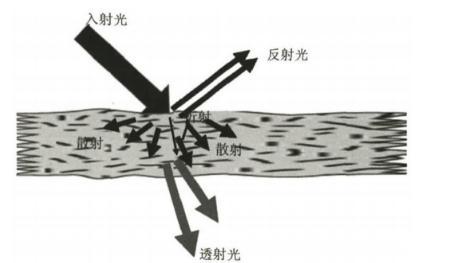 納米纖維素：透明紙基材料定義、分類、制備方法及應(yīng)用