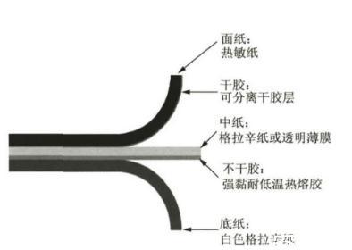 納米纖維素：透明紙基材料定義、分類、制備方法及應(yīng)用