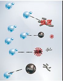 氣溶膠的傳播是什么？