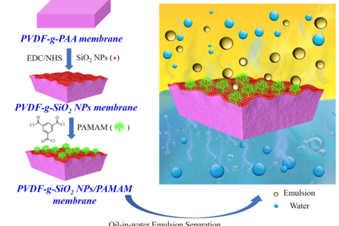 浙江大學(xué)黃小軍團(tuán)隊在PVDF油水分離膜、梯度膜生物檢測傳感領(lǐng)域取得系列進(jìn)展