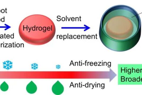 中山大學吳進《ACS AMI》：基于熱穩(wěn)定、自修復有機水凝膠的高靈敏、可拉伸溫度傳感器