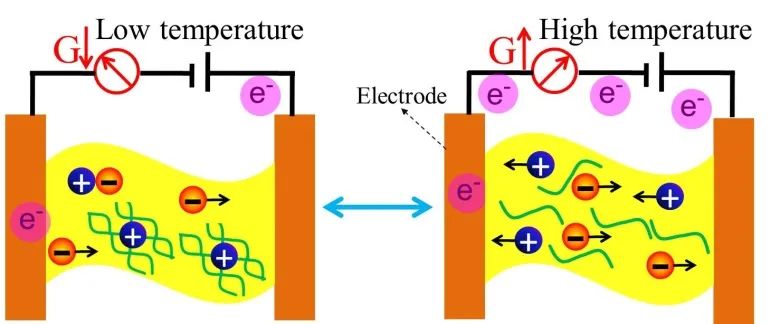 中山大學(xué)吳進《ACS AMI》：基于熱穩(wěn)定、自修復(fù)有機水凝膠的高靈敏、可拉伸溫度傳感器