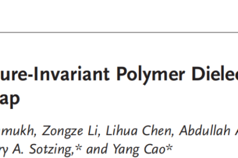 所見最佳柔性聚合物電介質(zhì)，適用于極端環(huán)境！