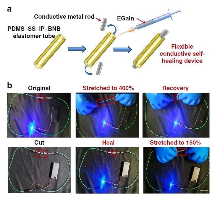 高度可拉伸自修復(fù)彈性體，可在各種極端條件下實(shí)現(xiàn)自修復(fù)