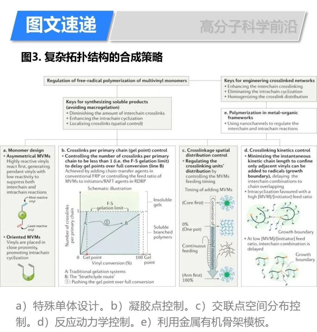 《自然綜述·化學(xué)》自由基聚合多乙烯基單體合成復(fù)雜拓撲結(jié)構(gòu)高分子