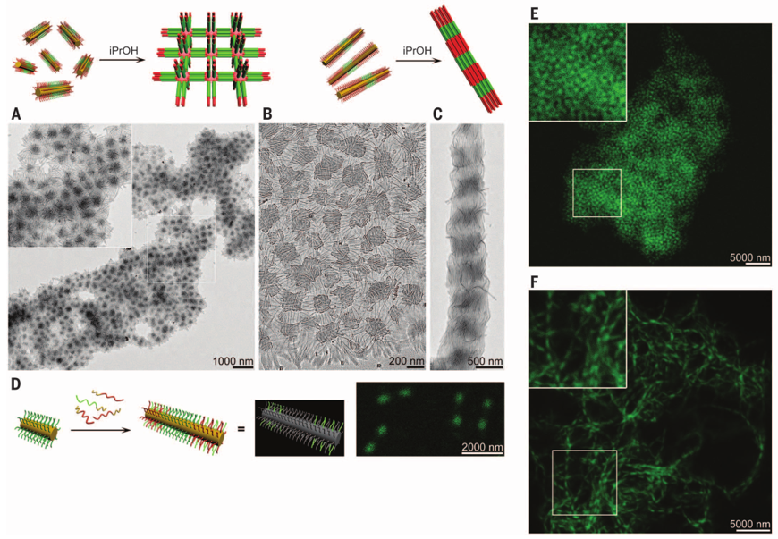 1個體系做了十余年，磨出5篇《Science》！這些膠束形貌美到令人窒息！