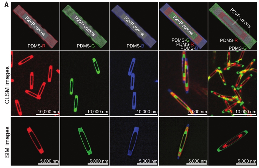 1個體系做了十余年，磨出5篇《Science》！這些膠束形貌美到令人窒息！