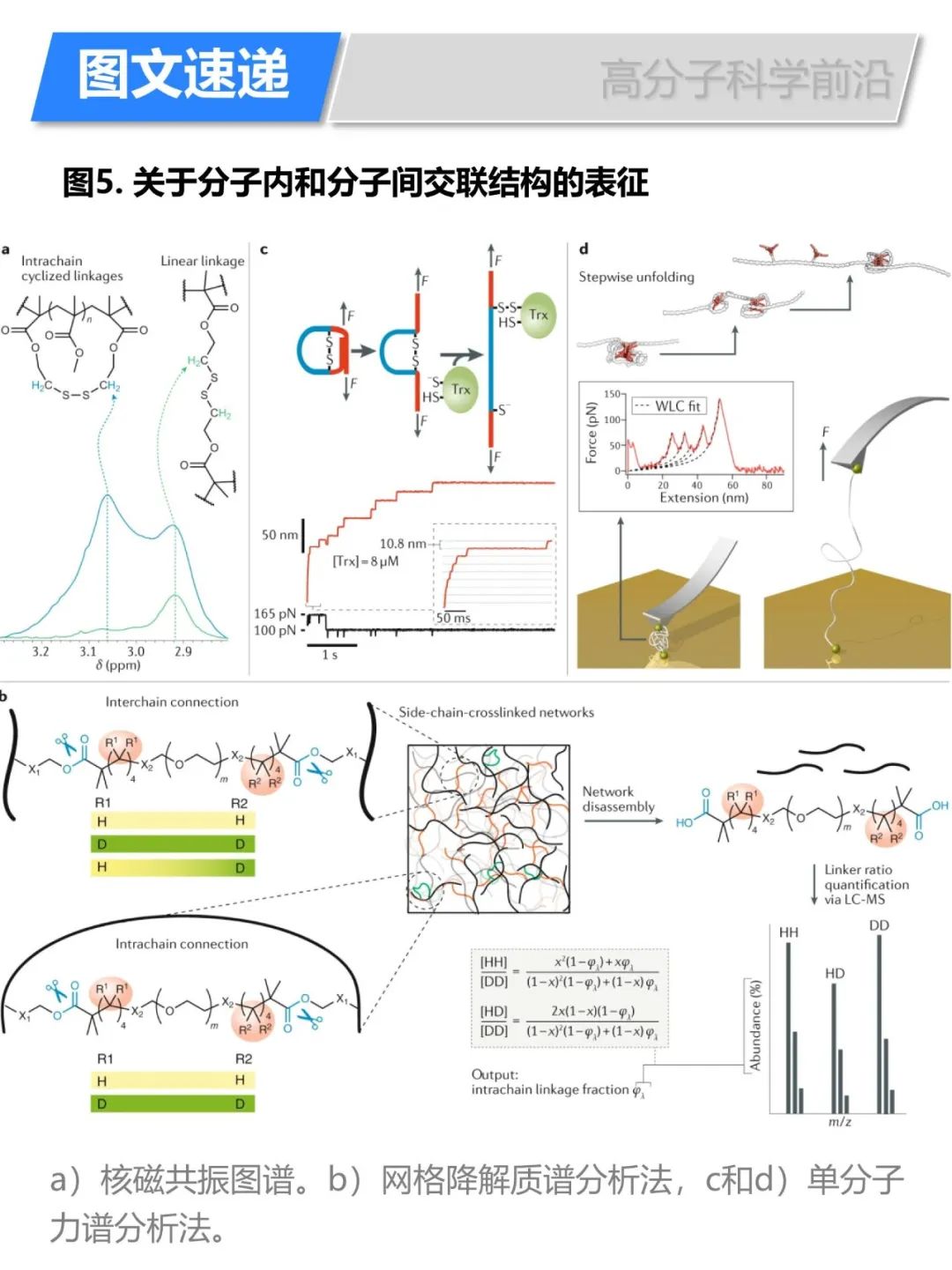 《自然綜述·化學(xué)》自由基聚合多乙烯基單體合成復(fù)雜拓撲結(jié)構(gòu)高分子