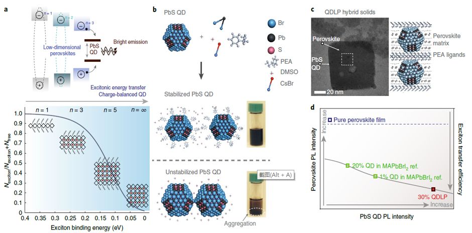 震撼！僅2個月，發(fā)表1篇Science，10余篇子刊/AM/JACS—加拿大兩院院士Sargent教授成果集錦