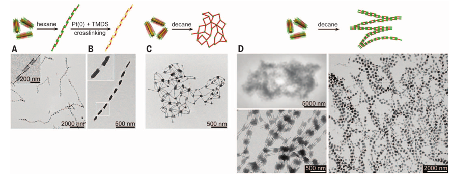 1個體系做了十余年，磨出5篇《Science》！這些膠束形貌美到令人窒息！