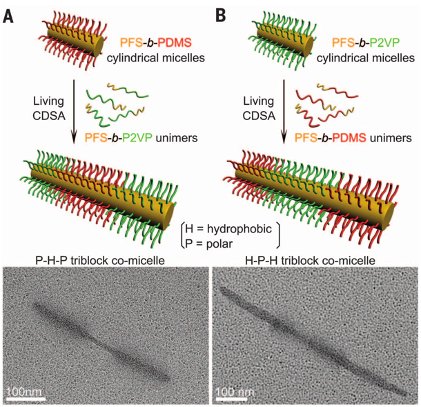 1個體系做了十余年，磨出5篇《Science》！這些膠束形貌美到令人窒息！