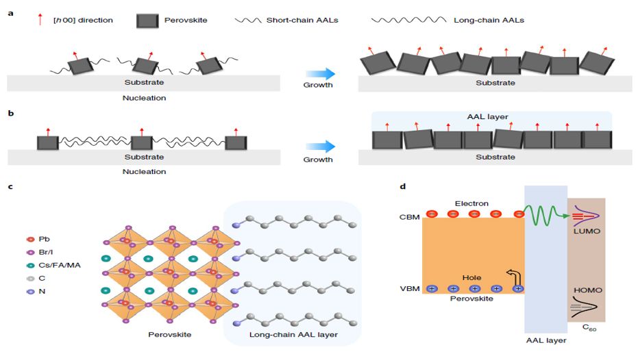 震撼！僅2個月，發(fā)表1篇Science，10余篇子刊/AM/JACS—加拿大兩院院士Sargent教授成果集錦