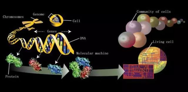 Science發(fā)布：全球前沿頂級挑戰(zhàn)課題125項