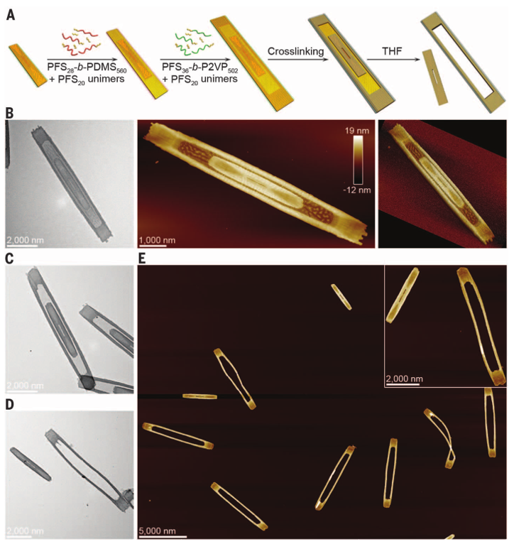 1個體系做了十余年，磨出5篇《Science》！這些膠束形貌美到令人窒息！