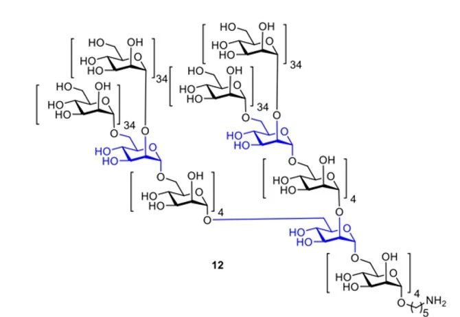《Nature》譽(yù)為“糖之父”的Seeberger打破世界紀(jì)錄，史上最長(zhǎng)人工合成多糖！