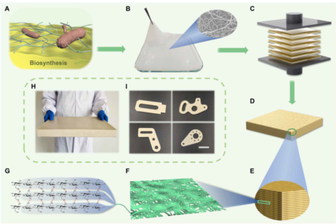 中科大俞書宏院士團隊：又輕、又強、又韌、又尺寸穩(wěn)定的纖維素基結構材料