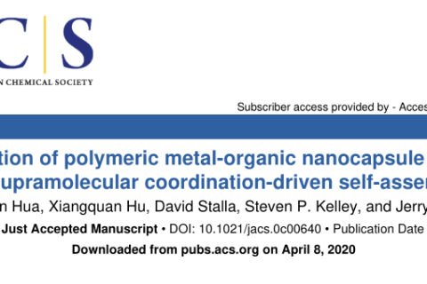 通過超分子配位驅(qū)動的自組裝技術構(gòu)建高分子金屬-有機納米膠囊網(wǎng)絡