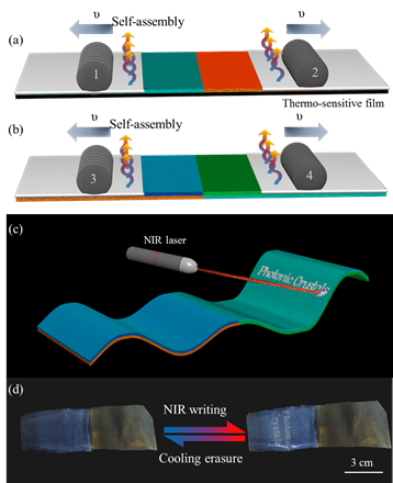 北京化工大學(xué)魏杰教授團(tuán)隊(duì)：“永不褪色”的實(shí)時近紅外光響應(yīng)結(jié)構(gòu)色柔性屏幕