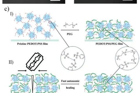 《AFM》：加點PEG，導(dǎo)電高分子實現(xiàn)自修復(fù)！