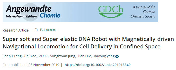 天津大學(xué)仰大勇《德國應(yīng)化》：超軟超彈磁驅(qū)動導(dǎo)航DNA軟體機器人用于受限空間細胞遞送