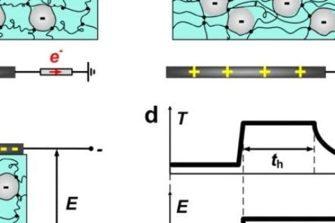 哈佛大學鎖志剛院士團隊：用這種方法，可伸縮駐極體儲存電荷60天