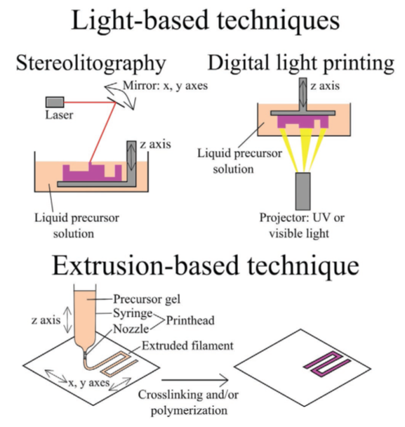 《AFM》綜述：一文了解4D打印水凝膠