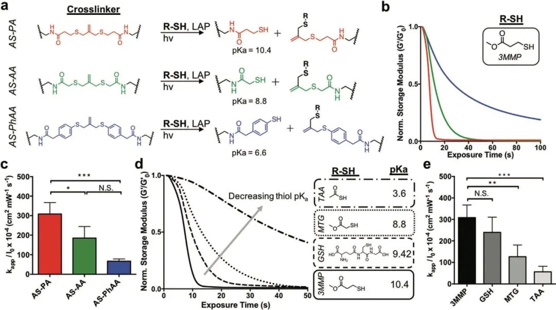 ?僅15秒！《AM》超快光降解生物水凝膠支架用于類(lèi)器官傳代