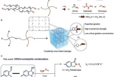 陳學(xué)思院士團(tuán)隊(duì)：固含低至1%！超快制備高強(qiáng)度可降解水凝膠