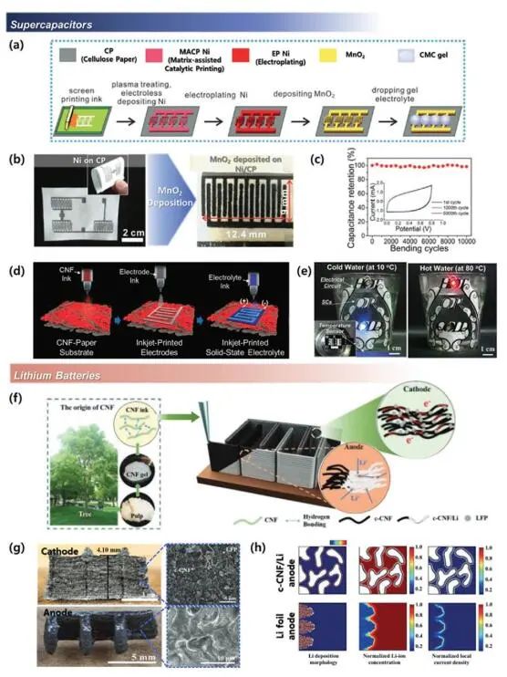 《先進(jìn)材料》綜述：為什么要用纖維素？纖維素基電化學(xué)儲(chǔ)能器件的優(yōu)勢(shì)何在？