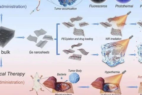 哈佛大學(xué)首用鍺烯！《Matter》鍺烯水凝膠用于抗腫瘤復(fù)發(fā)和傷口感染