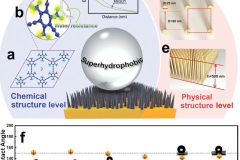 中科院青能所黃長(zhǎng)水《Small》：超穩(wěn)定超疏水石墨炔陣列，800天接觸角基本無(wú)變化！