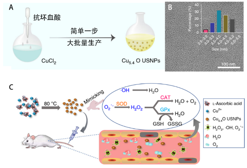 陸軍軍醫(yī)大學(xué)西南醫(yī)院羅高興/鄧君、美國(guó)NIH陳小元，浙大毛崢偉合作：減輕炎癥反應(yīng)的超小Cu5.4O納米酶