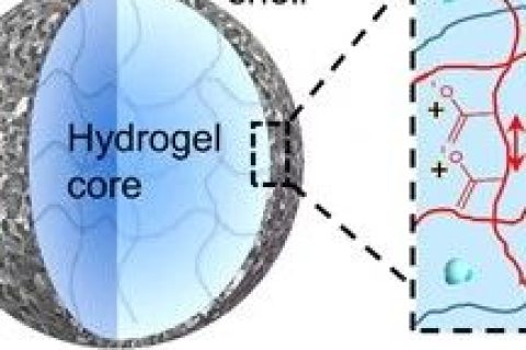 佐治亞理工謝興團隊：高分子復合材料實現(xiàn)自驅動膜分離過程