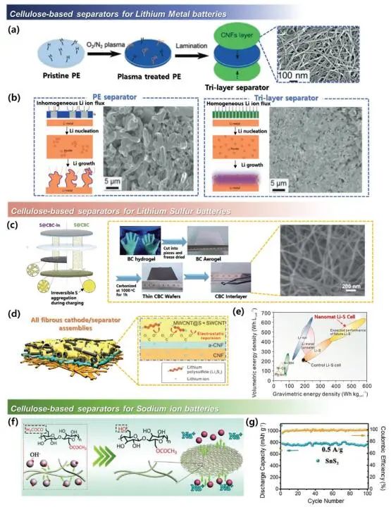 《先進(jìn)材料》綜述：為什么要用纖維素？纖維素基電化學(xué)儲(chǔ)能器件的優(yōu)勢(shì)何在？