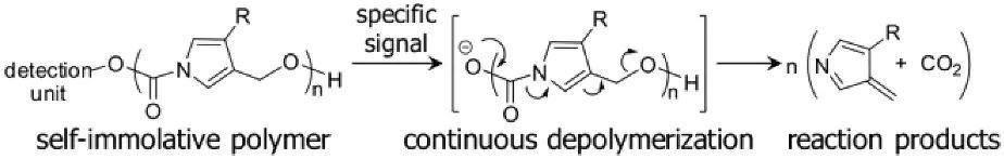 《JACS》： 像解拉鏈一樣輕松，聚合物30分鐘解聚為小分子