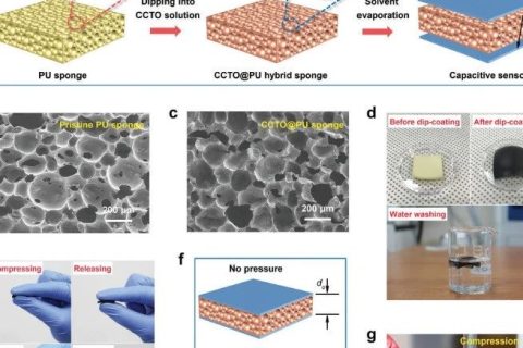 挑戰(zhàn)靈敏度極限！《AFM》：用于超高靈敏度壓力和應(yīng)變電容傳感器的泡沫復(fù)合介電材料