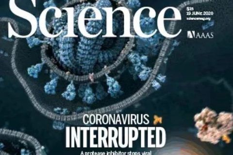 了不起！90后副教授在《science》上發(fā)表評述論文