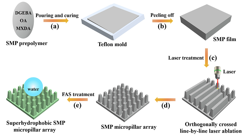 西安交通大學(xué)陳烽教授團隊：飛秒激光構(gòu)建可調(diào)超疏水形狀記憶微結(jié)構(gòu)
