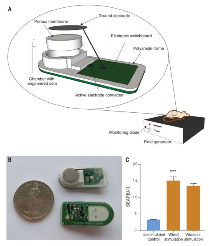 華師大/西湖大學《Science》重磅：無線電控制精準治療I-型糖尿病，僅需植入硬幣大小的生物器件！