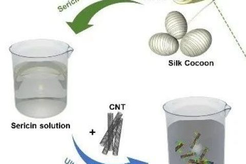 清華大學(xué)張瑩瑩團隊《先進材料》：絲膠蛋白助力碳納米管電子墨水的制備