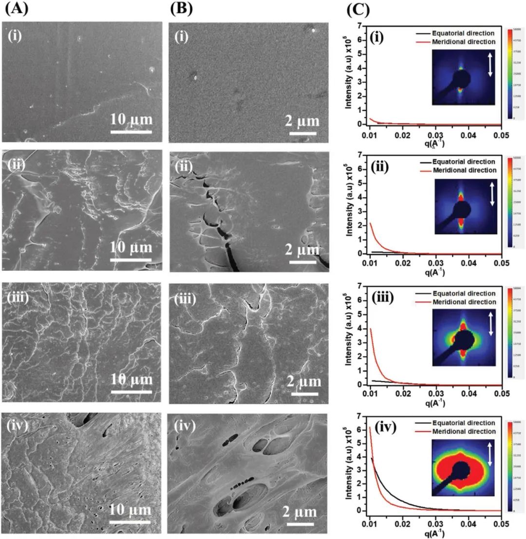 新加坡國(guó)立大學(xué)《AFM》：聚乳酸增韌有新招，可助力綠色柔性電子設(shè)備發(fā)展