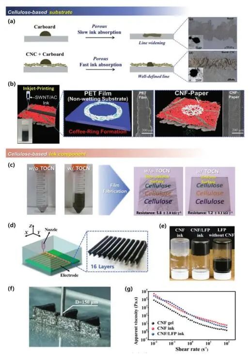 《先進(jìn)材料》綜述：為什么要用纖維素？纖維素基電化學(xué)儲(chǔ)能器件的優(yōu)勢(shì)何在？