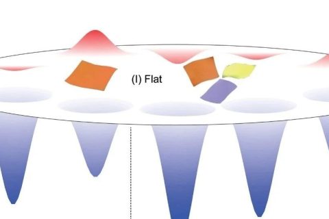 浙江大學(xué)許震、高超與清華大學(xué)徐志平合作《Matter》：?jiǎn)螌友趸┠Ｐ完U明二維大分子溶液構(gòu)象之謎