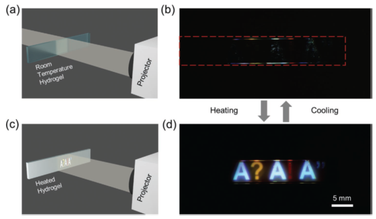 《AFM》：僅需87ms即可實(shí)現(xiàn)水凝膠從發(fā)白到透明的快速可逆轉(zhuǎn)變