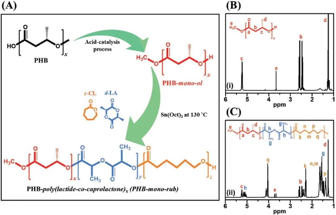 新加坡國(guó)立大學(xué)《AFM》：聚乳酸增韌有新招，可助力綠色柔性電子設(shè)備發(fā)展