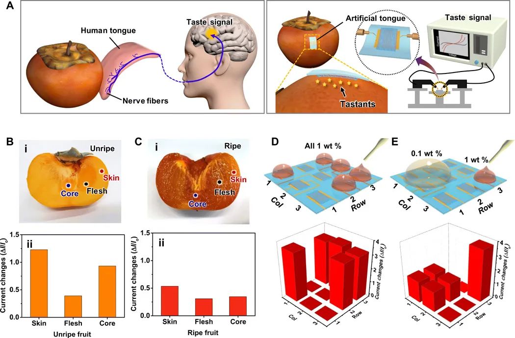機器人也能“品味人生”？“人造舌頭”登上《Science》子刊，可“品嘗苦澀、分辨生熟”