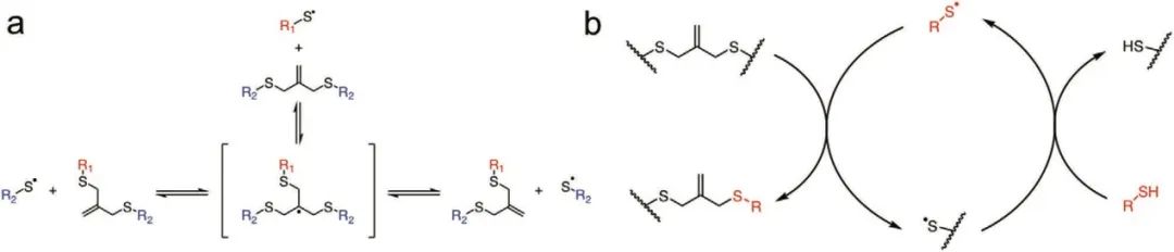 ?僅15秒！《AM》超快光降解生物水凝膠支架用于類(lèi)器官傳代