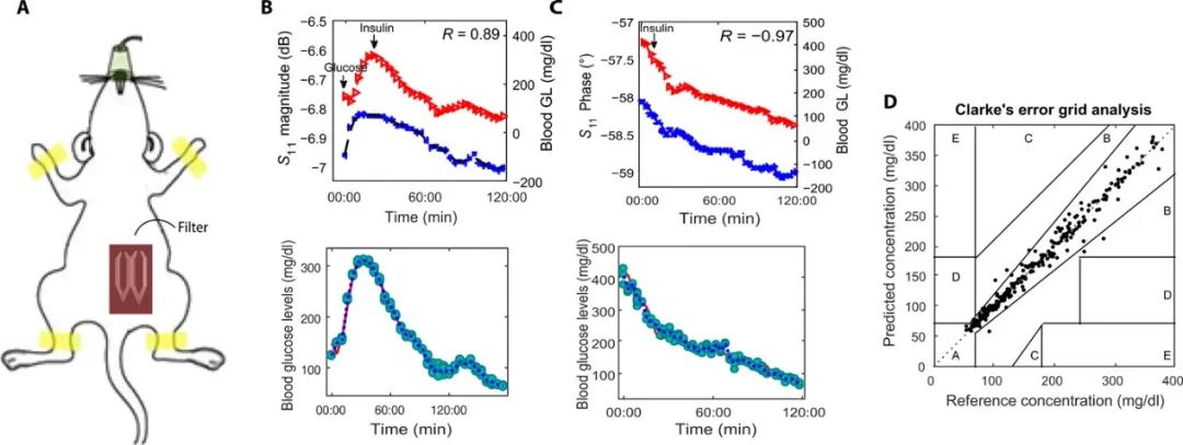 《Science》子刊：隔空測血糖！首創(chuàng)、高度靈敏、可穿戴、無創(chuàng)血糖監(jiān)測傳感器