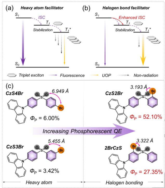 中山大學(xué)《Angew》：量子效率52%！超長(zhǎng)有機(jī)磷光材料量子效率再獲突破